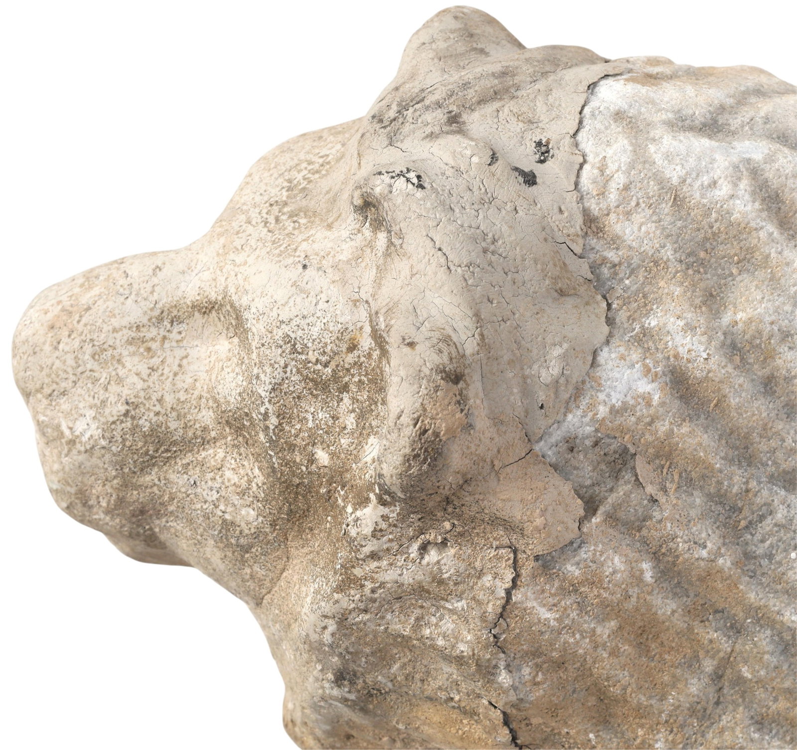 A marble lion - 9