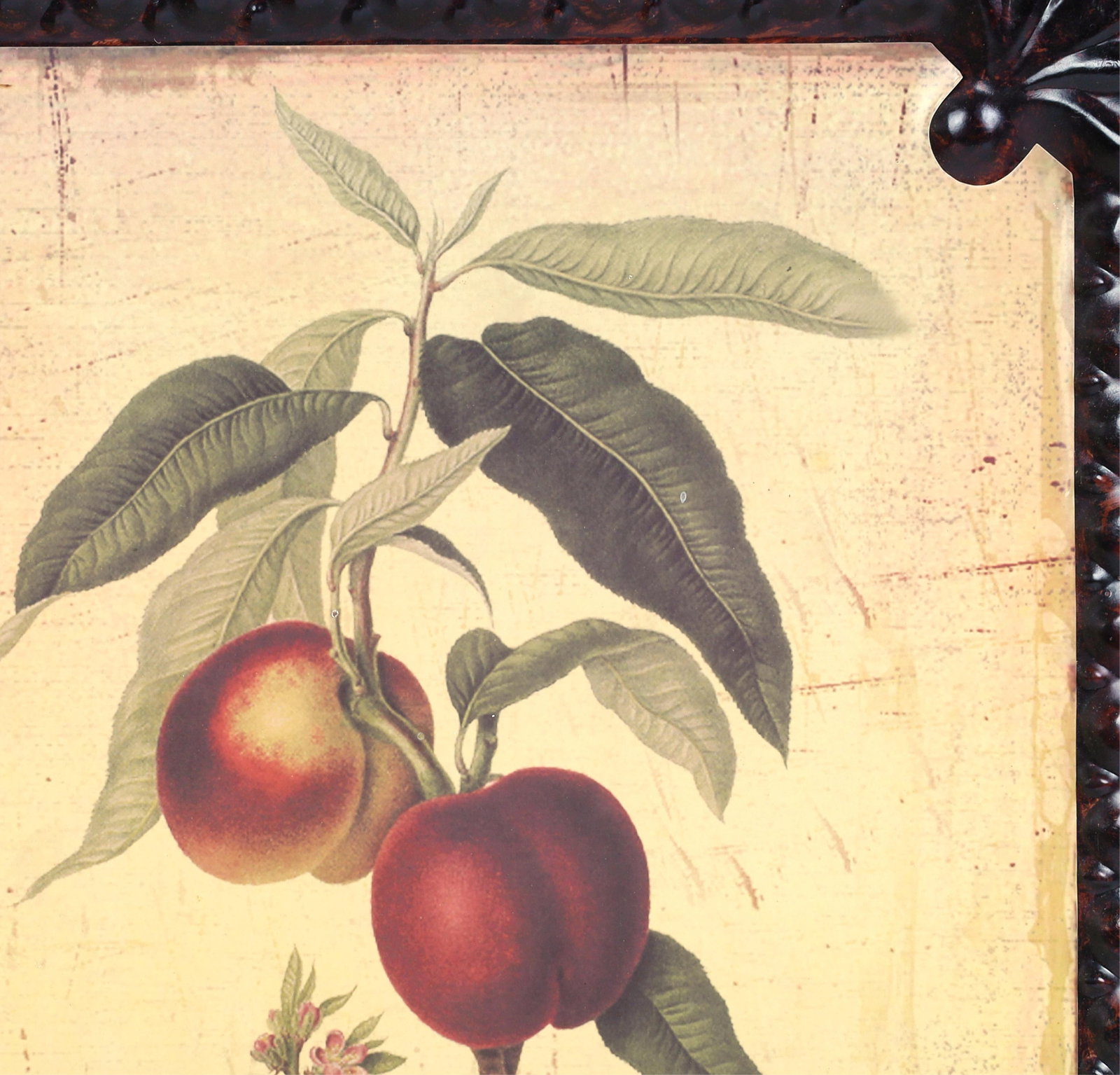 Four botanicals - 5
