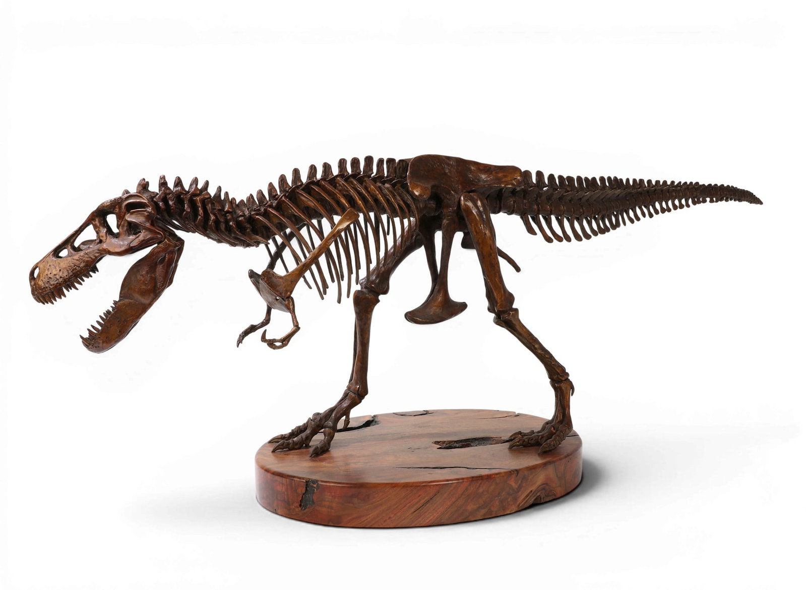 A bronze model of a Tyrannosaurus Rex, Joseph Tippmann, modern: A bronze model of a Tyrannosaurus Rex Joseph Tippmann modern On burlwood stand, incised signature, numbered, and dated to right jaw bone. overall height 17in (43cm); length 48 1/2in (123cm); width 13i