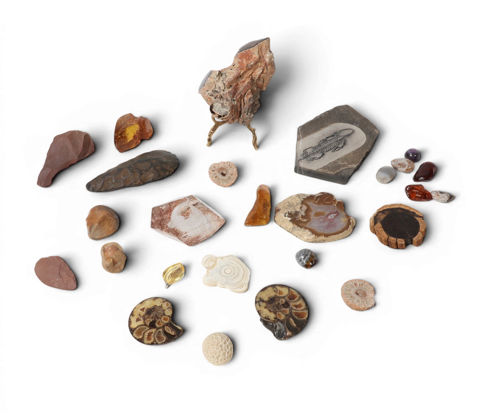 A group of twenty-six curiosities of geological interest (1 of 6)