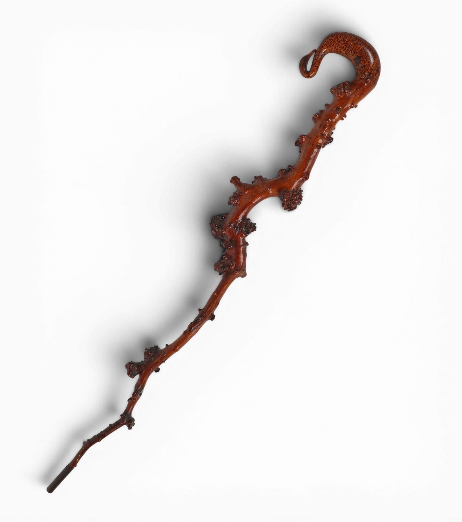 A carved root walking cane with swan head handle, 20th century (1 of 6)
