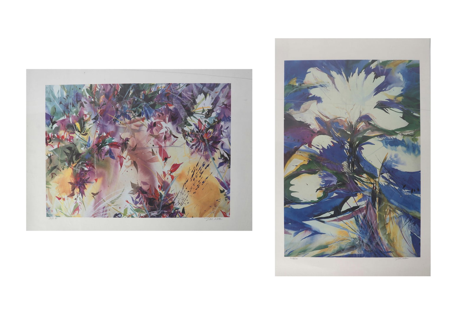 Zoe Mac (American, 20th century), Two Florals, offset lithographs in colors on wove papers, 34 x (1 of 9)