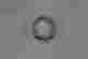 item-65392830=11