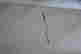 item-65393041=12