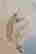 item-65393041=4