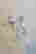 item-65393041=6