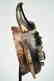A Jimini mask with large buffalo horns Tribal Art - 8