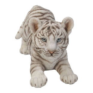 WHITE TIGER CUB: WHITE TIGER CUB **|**|** Approx Dims: 12.3 in. x 5.7 in. x 7.2 in. Material: Cold Cast Resin Description: Hand Painted #1AC26921