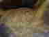 item-64684712=9