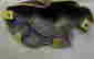 item-64684715=4