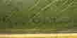 item-66002898=2