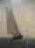 item-66002898=3