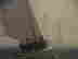 item-66002898=4