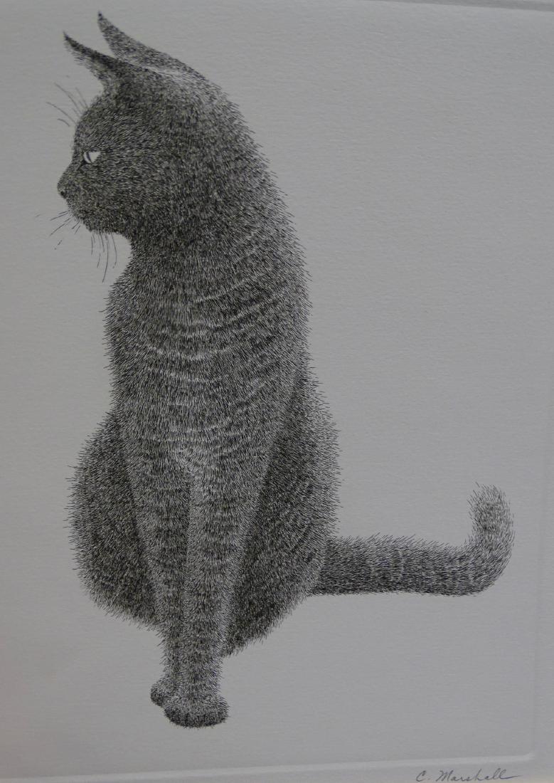 Limited Edition Cat: Original limited edition titled "Cat" #144 of 250. Artist signed Carolyn Marshall.