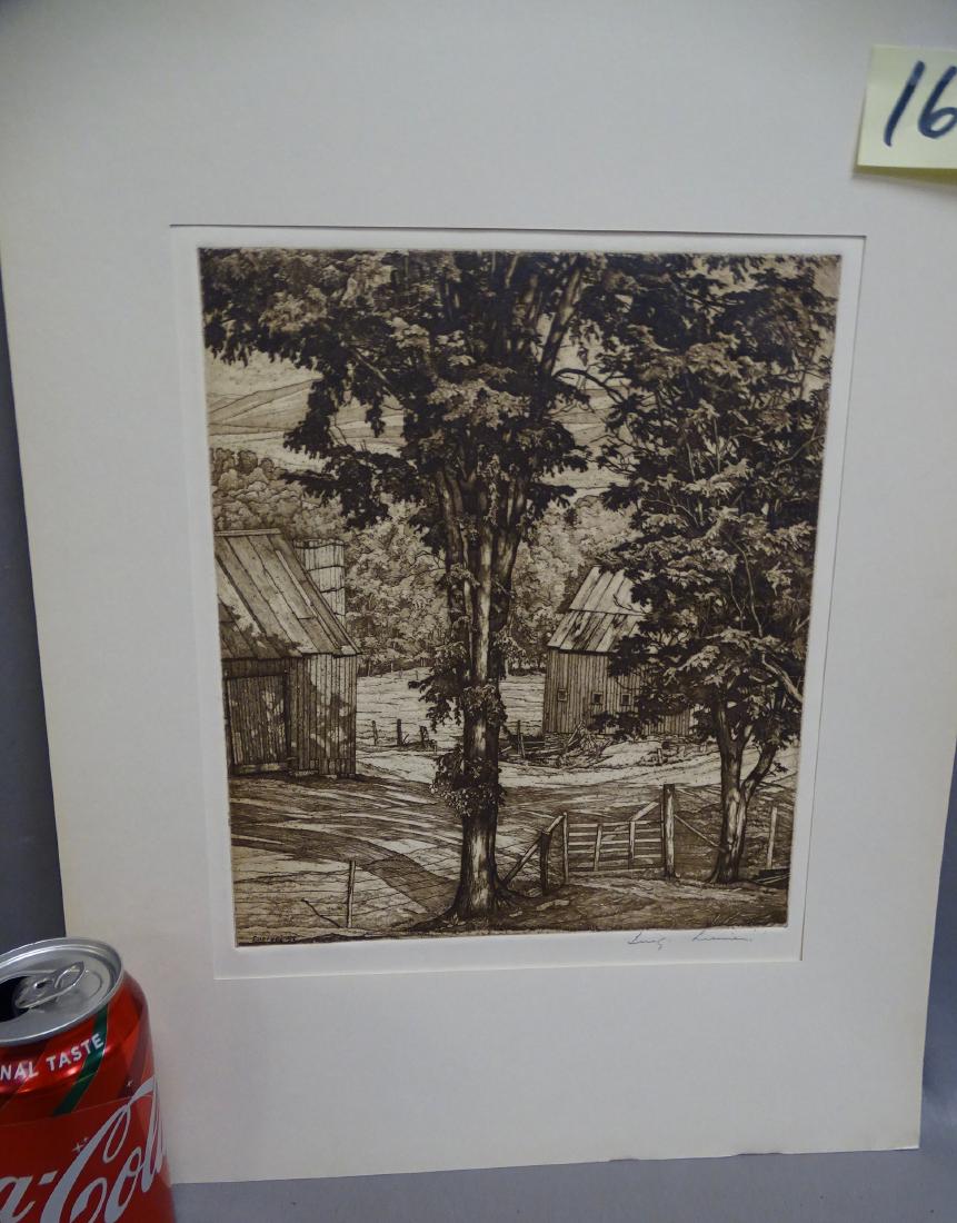 Tree and Shadows Etching (1 of 4)