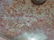 Signed Tiffany Lamp Base - 4