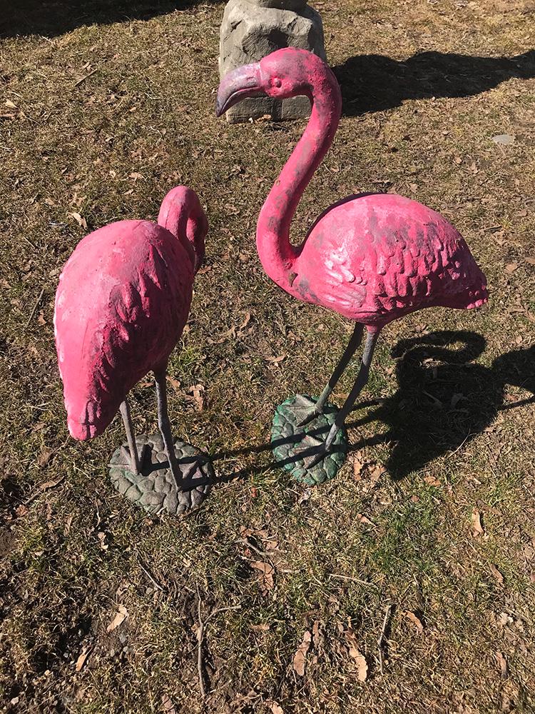 Pair of Cast Iron Flamingos: Pair of cast iron flamingos. Standing 21" and 28".