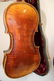 Group of String Instruments, Violins, Bows - 3