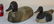 2 Early Wooden Decoy Ducks