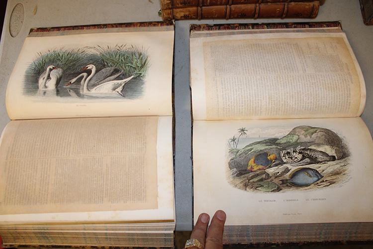 Fabulous Group of 8 French Books with Wonderful Colored (1 of 7)