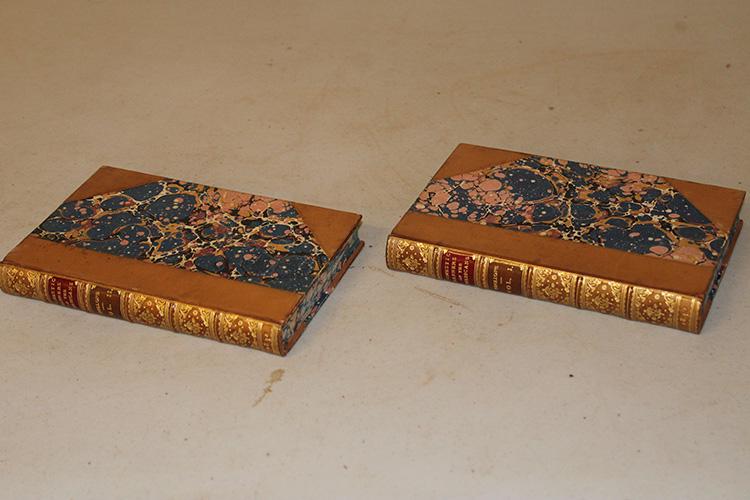 Nice 2 Volume Set Domestic Manners of the Americans (1 of 2)