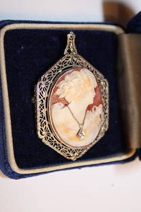 Ladies 14k White Gold Cameo with Diamond Chip: Ladies 14k white gold cameo with diamond. 2" long.