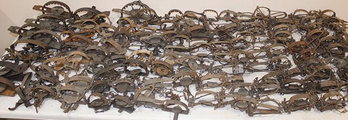 Large Collection of Animal Traps (1 of 4)