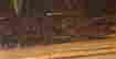 item-120645007=3