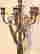 item-120645089=2