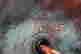 item-129564186=4