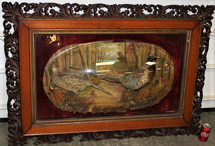 Incredible Victorian 52" Pheasants Under Bubble Glass With Oil Painting Scene (1 of 5)