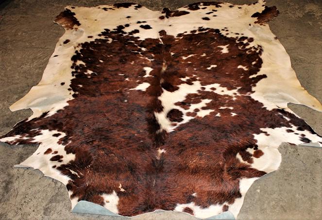 Real Neat Exotic Animal Rug (1 of 4)