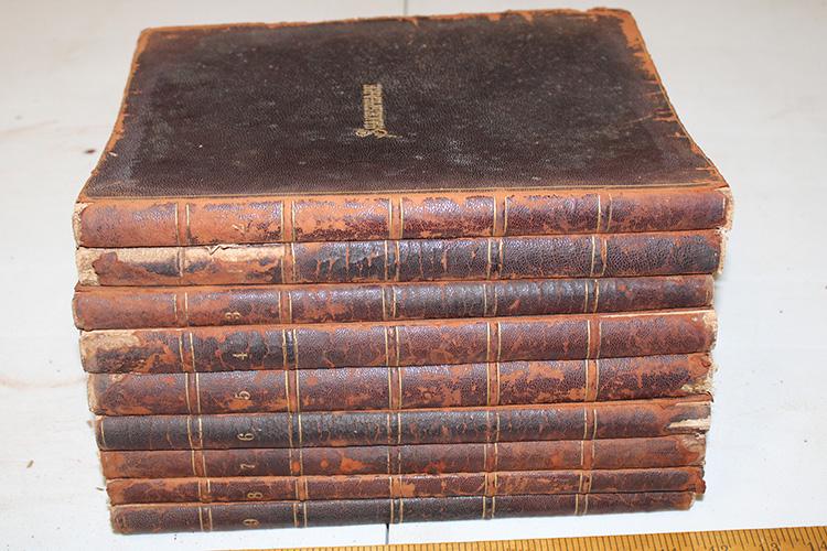 Early Leather Bound 9 Volume Series Of Shakespeare Book (1 of 4)