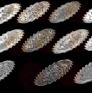 8 Estate Fresh Morgan Silver Dollars: 8 estate fresh Morgan silver dollars in nice condition. 1887-O, 1896, 3-1921, 1901-O, 1889-O, 1889 worn.