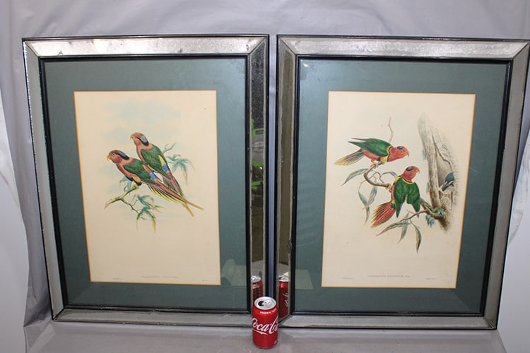 2 Large Lithos Of Charmosyna By Gould And Hart: 2 large lithos of Charmosyna by Gould and Hart. Estate fresh, nice colors, antique. 1 Josephinae, 1 Magaritae. Litho including frame is 24x30.