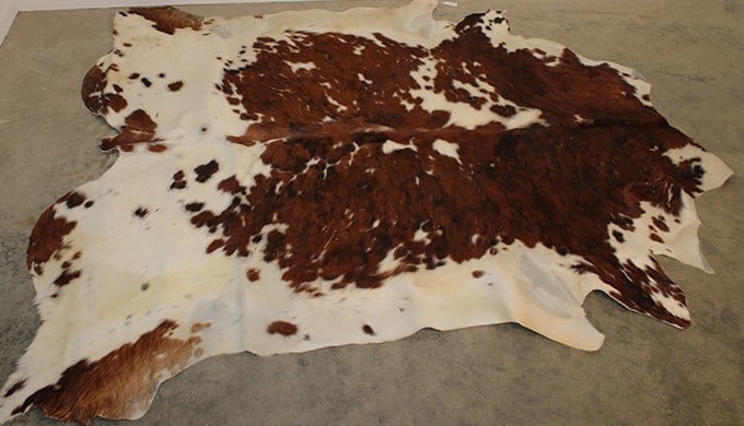 Large 100" Long Hide In Brown And White (1 of 3)