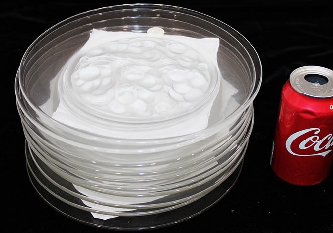 Awesome Set Of 10 Signed Lalique France Marienthal 9 1/4" Plates (1 of 4)