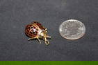 Spectacular 18K Italian Lady Bug Pin And Pendant 4.2 Dwt