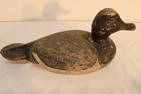Decoy Duck Bluebill Drake (Beany Anderson), Original Paint (Has Wear) Appr. 13" Long