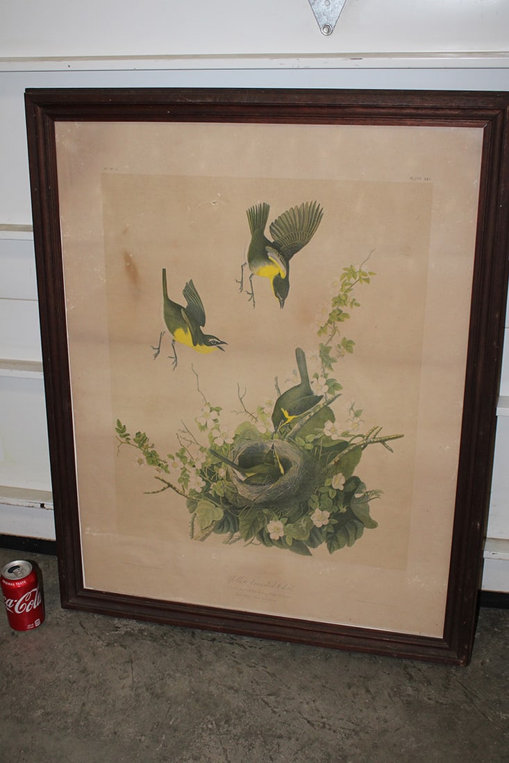 J. J. Audubon Titled Yellow Breasted Chat Litho (1 of 7)