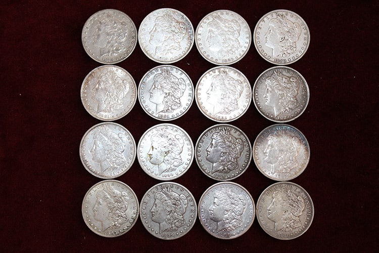 16 Clean Morgan Silver Dollars (1 of 3)