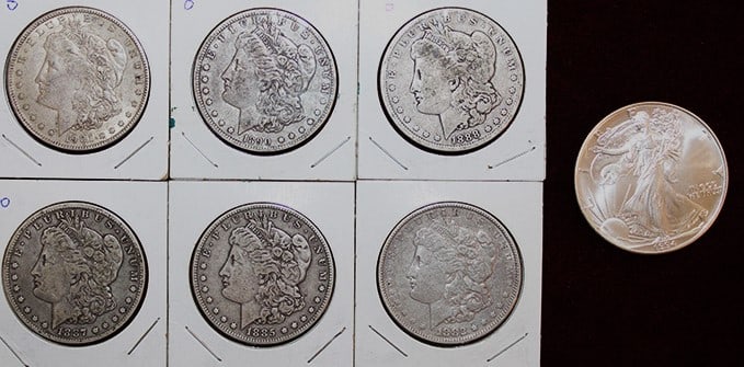 6 Morgan Silver Dollars And (1) 1994 Silver Eagle (1 of 8)