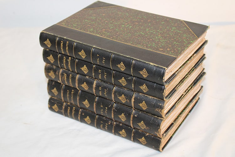 Quarterly Illustrators Books Volumes 1-5 Of 1895 Published By Harry Jones (1 of 5)