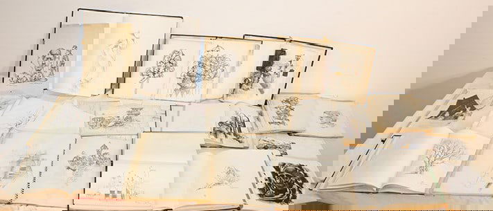 10 Books Plus Misc. Drawings By Bruce Macdonald, Hundreds Of Pieces (1 of 8)