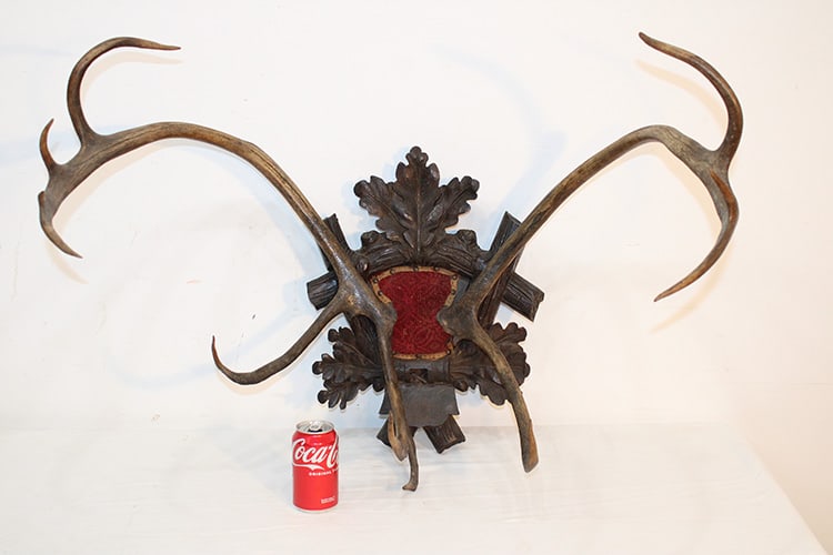 19Th C. Victorian Back Forest Stag Antler Mount (1 of 5)