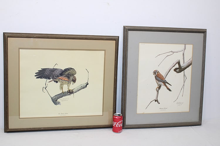2 Audubon style lithos hand signed by Guy Coheleach. Both nicely framed, local estate. Largest with (1 of 5)