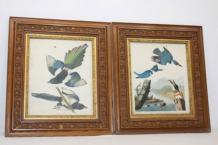 2 Audubon style print in great oak frames. Estate fresh, great colors. Little staining on the edge, (1 of 5)