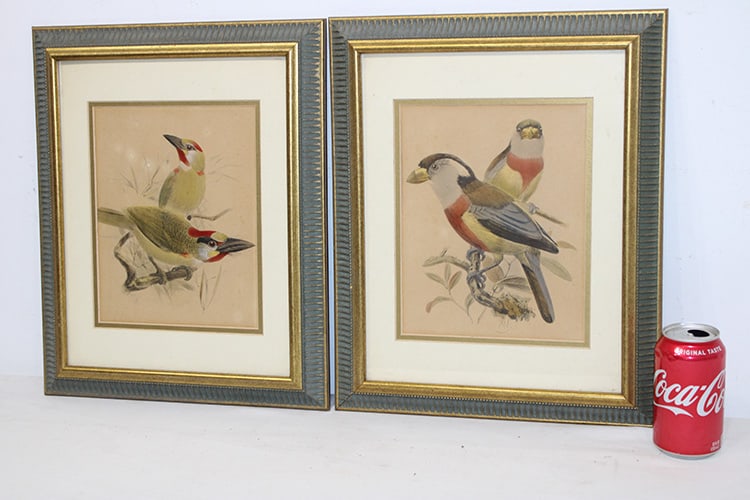 Pair of hand drawn and colored birds artist signed. Nicely framed, estate fresh. Size with frame is (1 of 4)