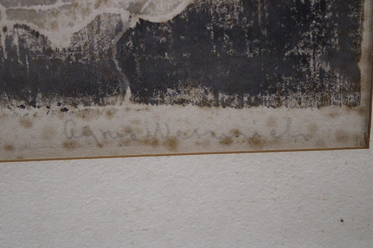 2 estate fresh watercolors signed A. Wannrich. Nicely framed, some foxing. Both are floral. Size - 5