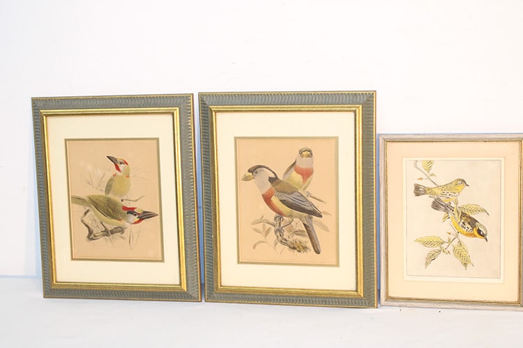 3 Fine Handed Painted Birds 1 Signed Benson Moore (1 of 6)